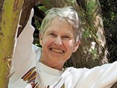 Julie Stromberg in Mexican Palo Verde tree