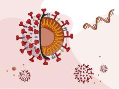 Coronavirus