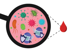 An illustration of looking into a drop of blood to see the viruses and cells inside