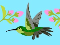 Hummingbird