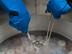 A scientist wearing thick blue gloves uses tongs to dip test tubes into a bath of liquid nitrogen. Steam rises from the cold-looking liquid.