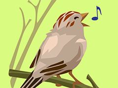 Bird singing