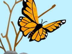 Monarch butterfly