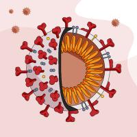 Coronavirus illustration