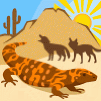 Sonoran Desert