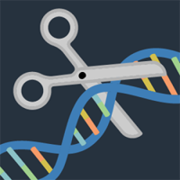 Gene Editing illustration showing scissors cutting DNA