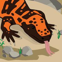 Gila monster face illustration