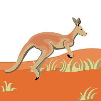 Red kangaroo