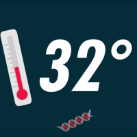 How do animals survive the cold? An illustration of a thermometer reading a temperature of 32F.