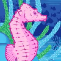 Seahorse