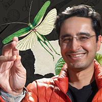 Saad Bhamla -  Curious Zoo of Extraordinary Organisms