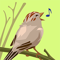 Bird singing