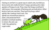 An illustration of an ant getting sugary waste water from an aphid.