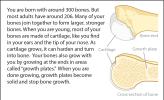 Illustration of bone cartilage and growth plates