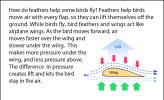 A diagram showing how lift works on a wing