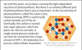 An illustration of a glucose molecule.