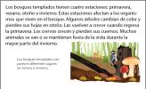 Ilustración de un bosque templado, con venados, un pájaro carpintero y hongos.