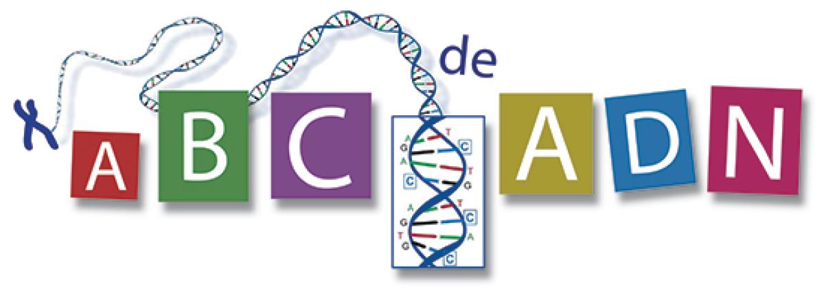 ABC de ADN