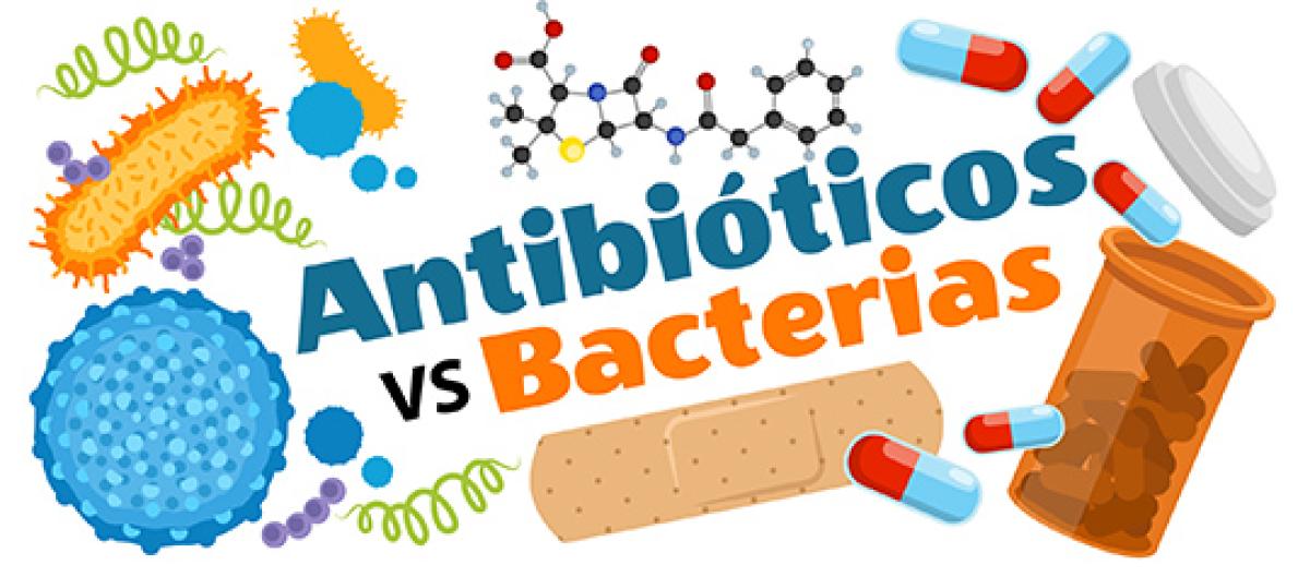 Antibióticos vs Bacterias