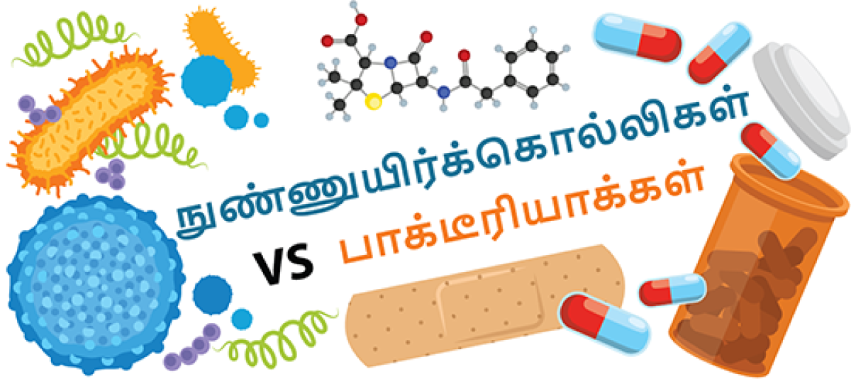 நுண்ணுயிர்க்கொல்லிகள் vs பாக்டீரியாக்கள்