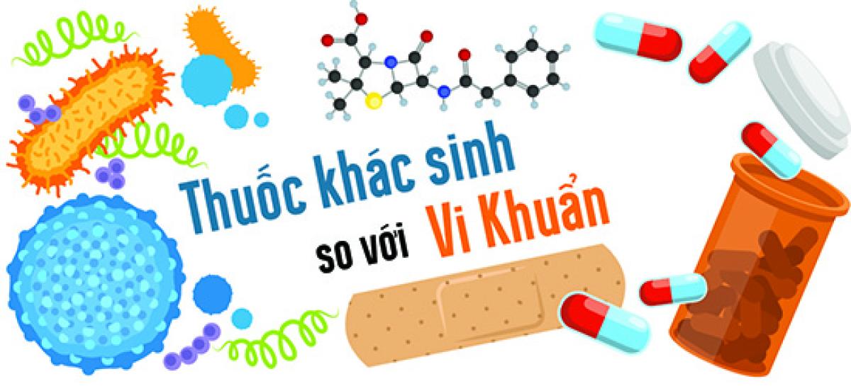 Thuốc khác sinh so với Vi Khuẩn