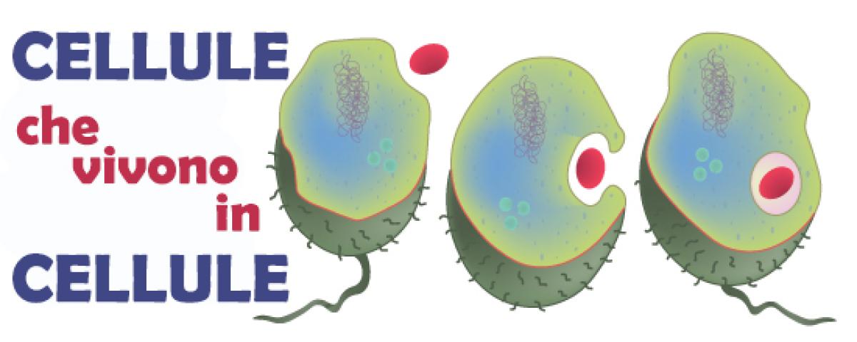 Endosymbiontica