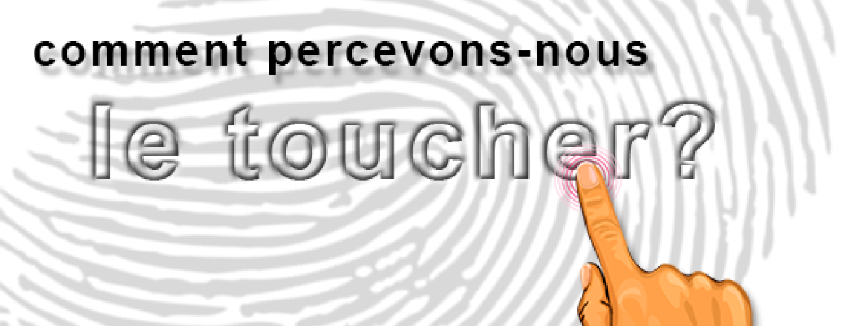 comment percevons-nous le toucher?