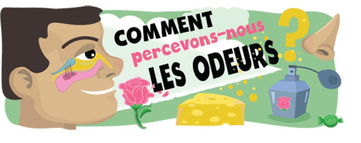 comment percevons-nous les odeurs?