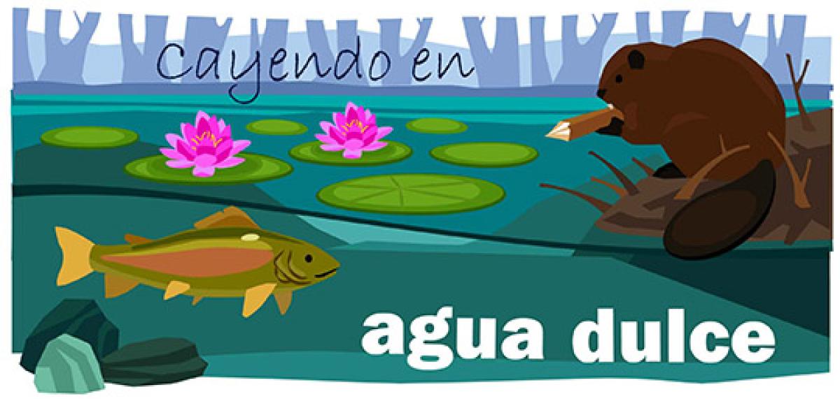 Cayendo en agua dulce