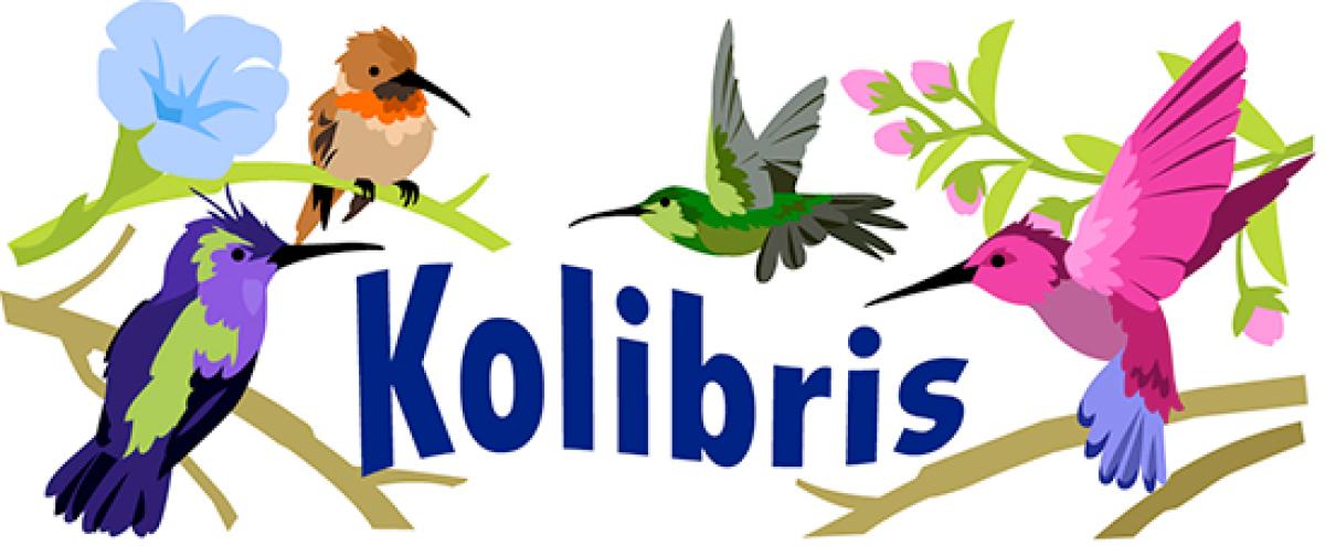 kolbris