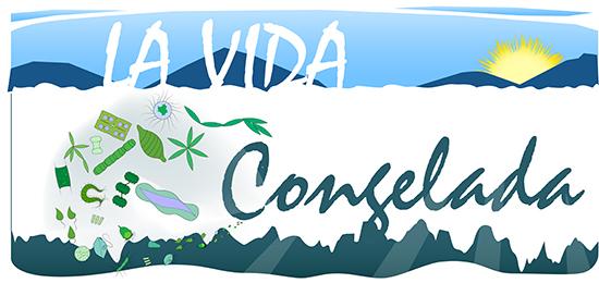 La vida congelada