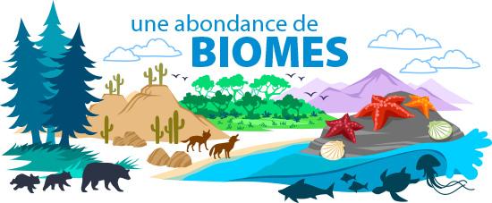 Une Abondance de Biomes