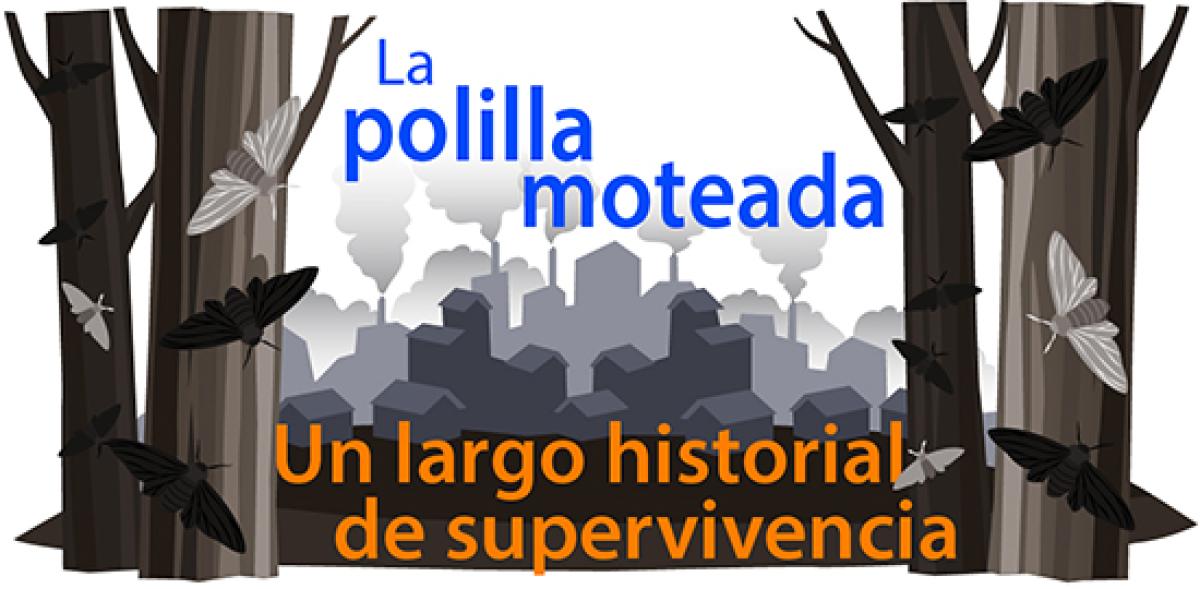 La polilla moteada: Un largo historial de supervivencia