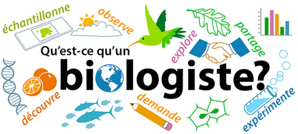 Qu'est-ce qu'un biologiste?