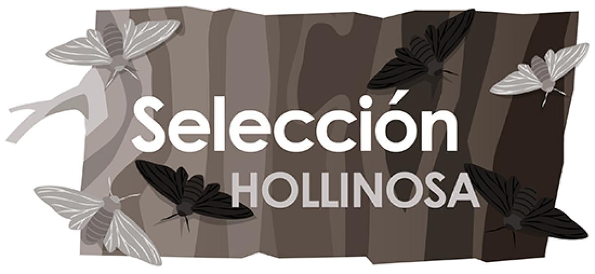 Seleccion hollinosa