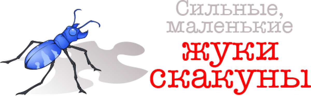 Сильные, маленькие жуки скакуны