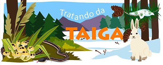 Tratando da taiga