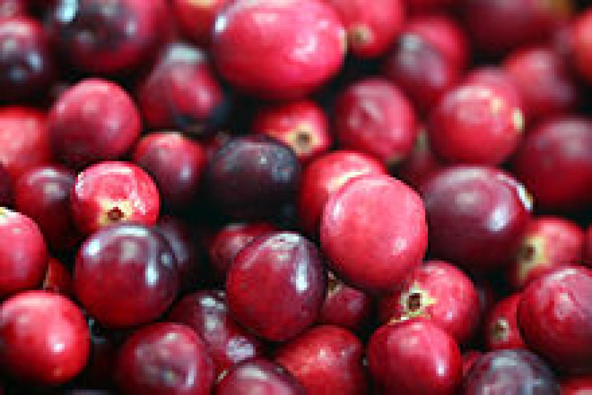 cranberries