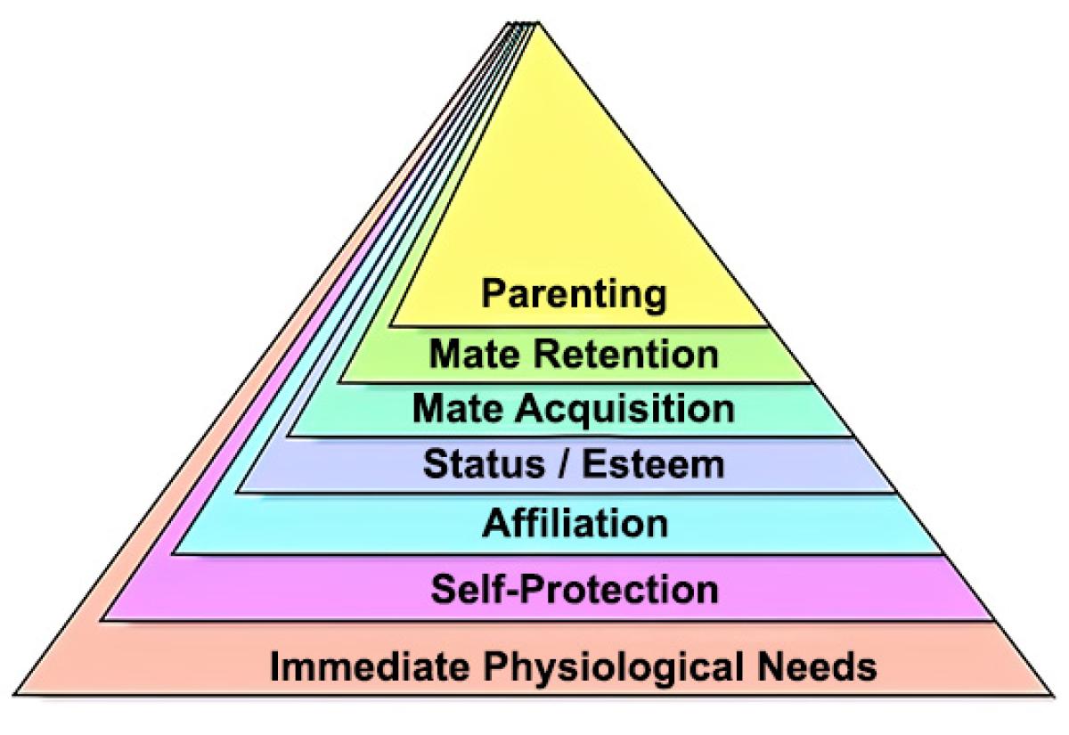 7 human motives