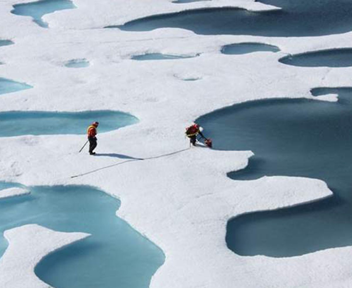 Biologists on melting ice in the arctic