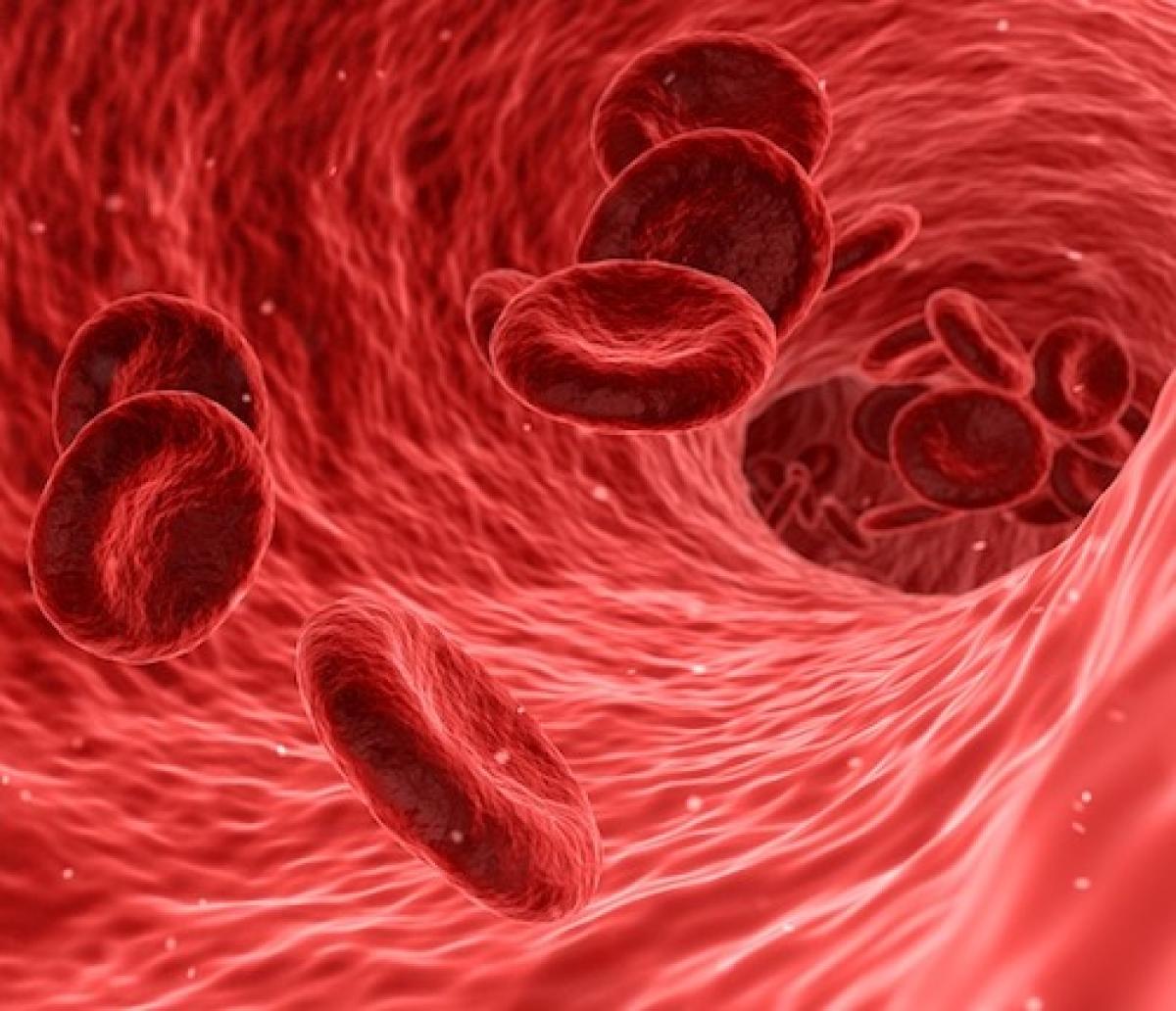 Blood cells