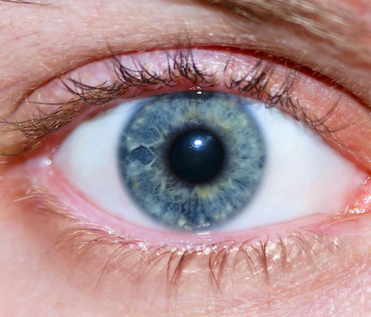 Close up of a blue eye