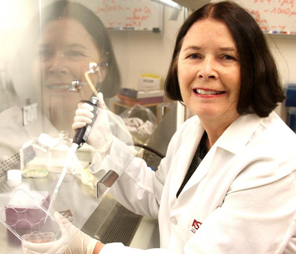 Virologist Brenda Hogue working in lab 