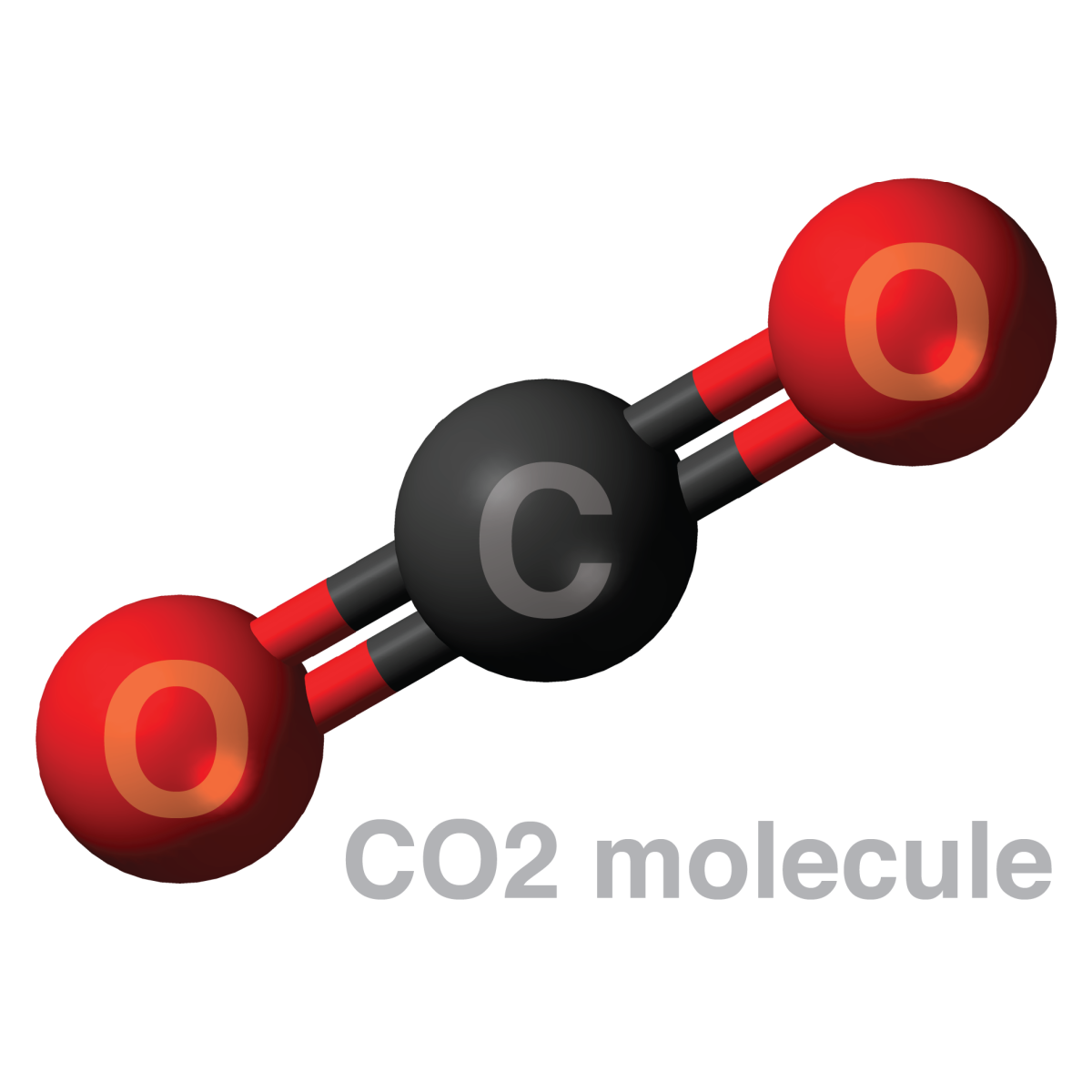 carbon dioxide molecule