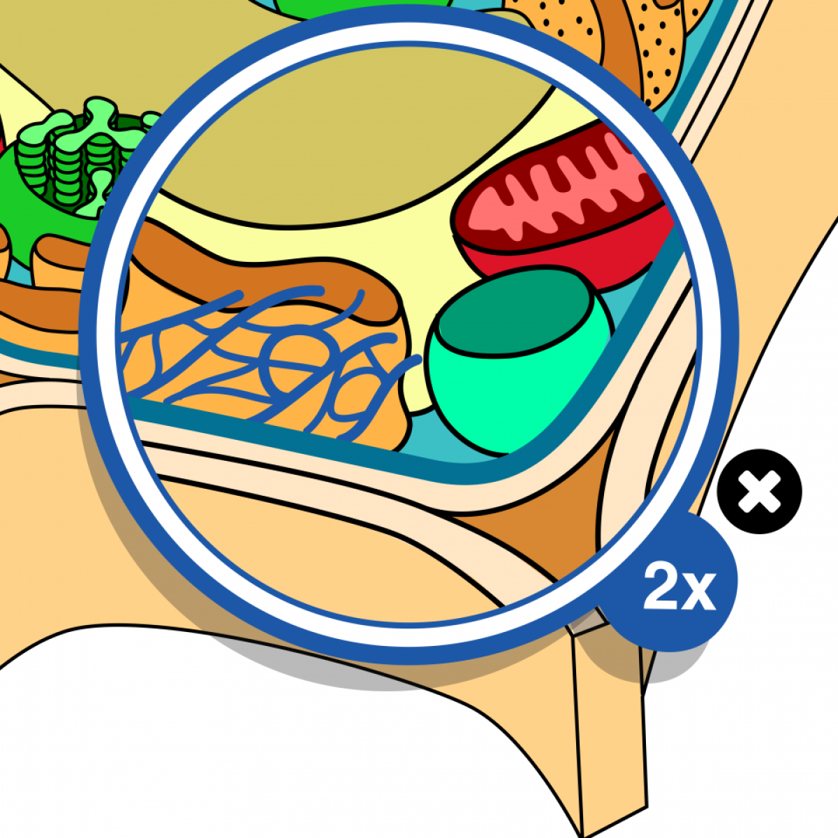 Representation of a cell interior drawing