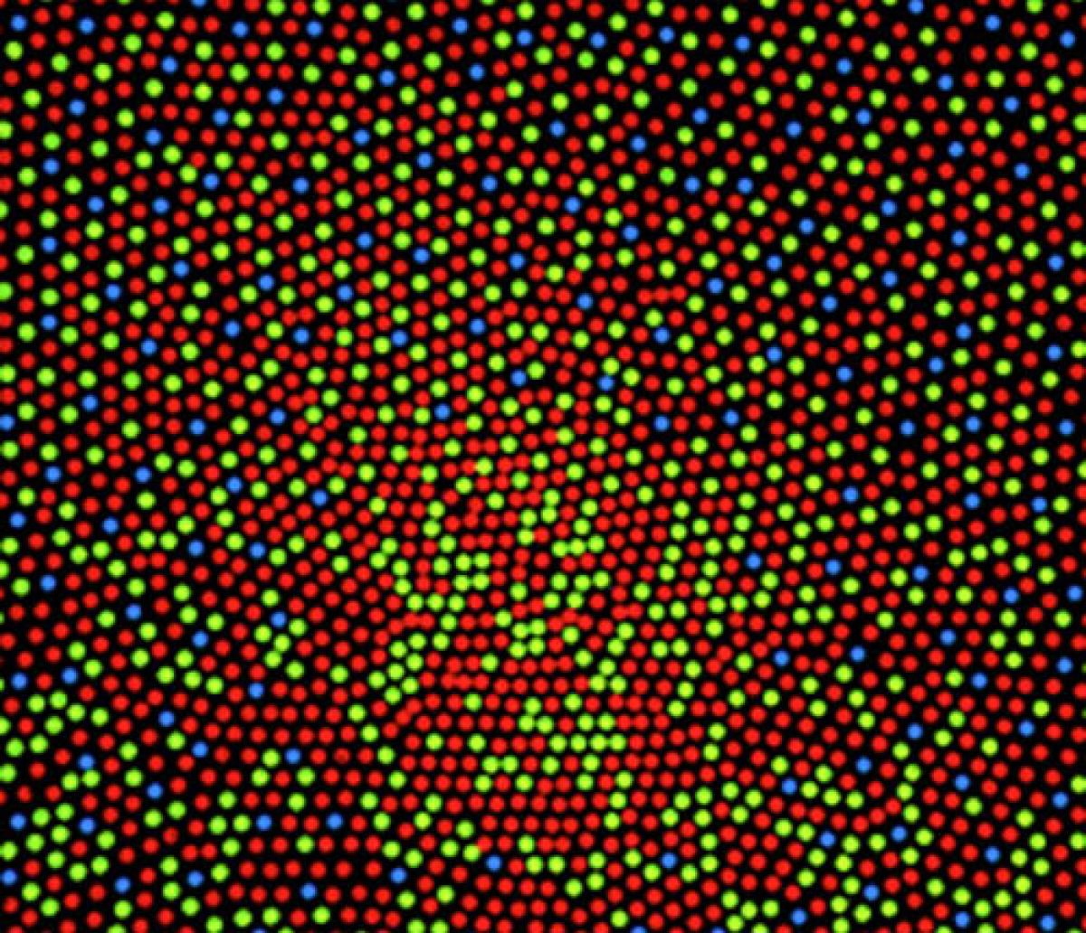 dot pattern