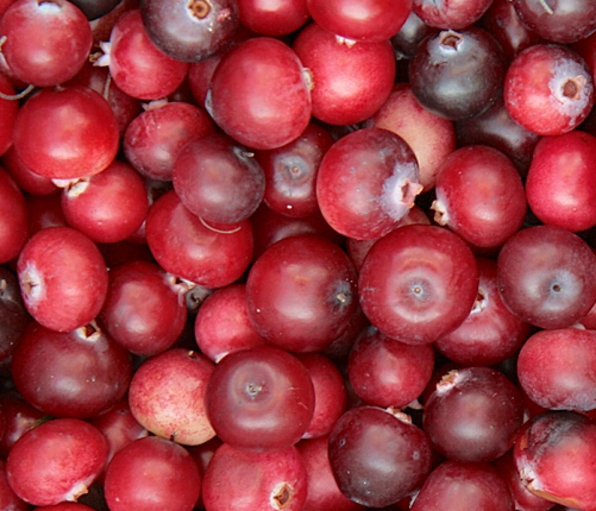 Cranberries