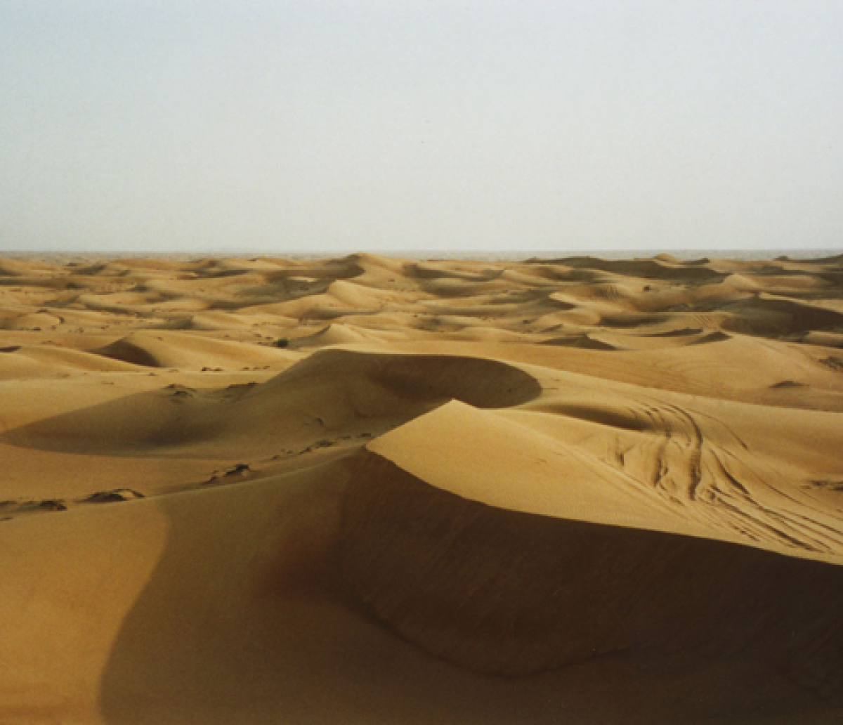 Desert sand dunes