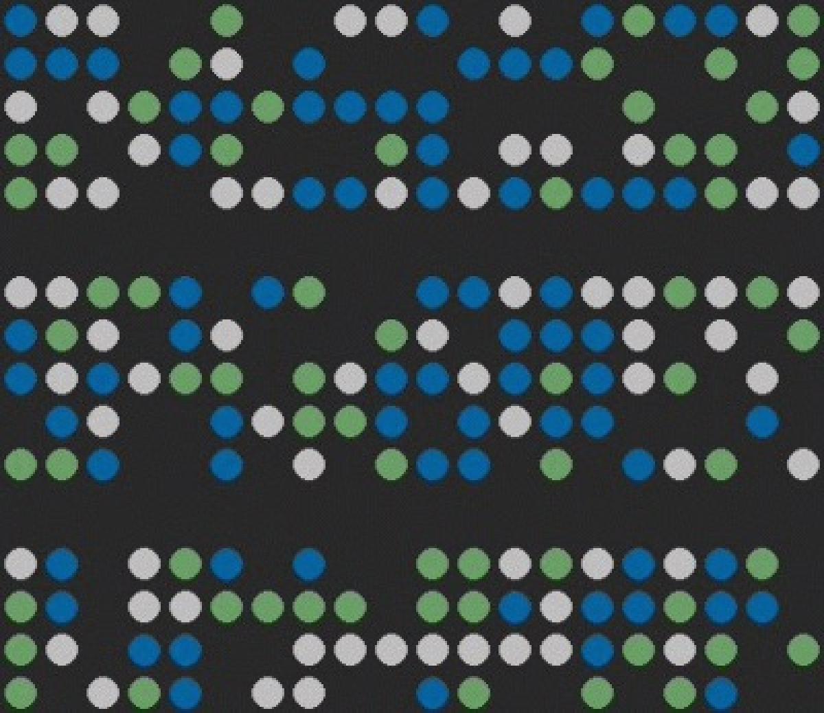 DNA sequence