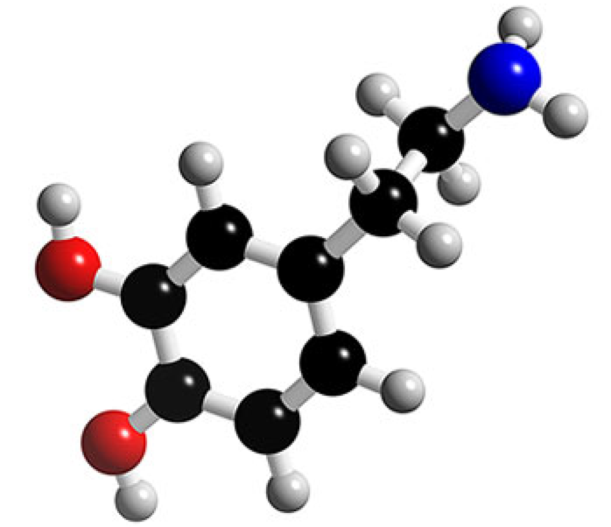 Dopamine